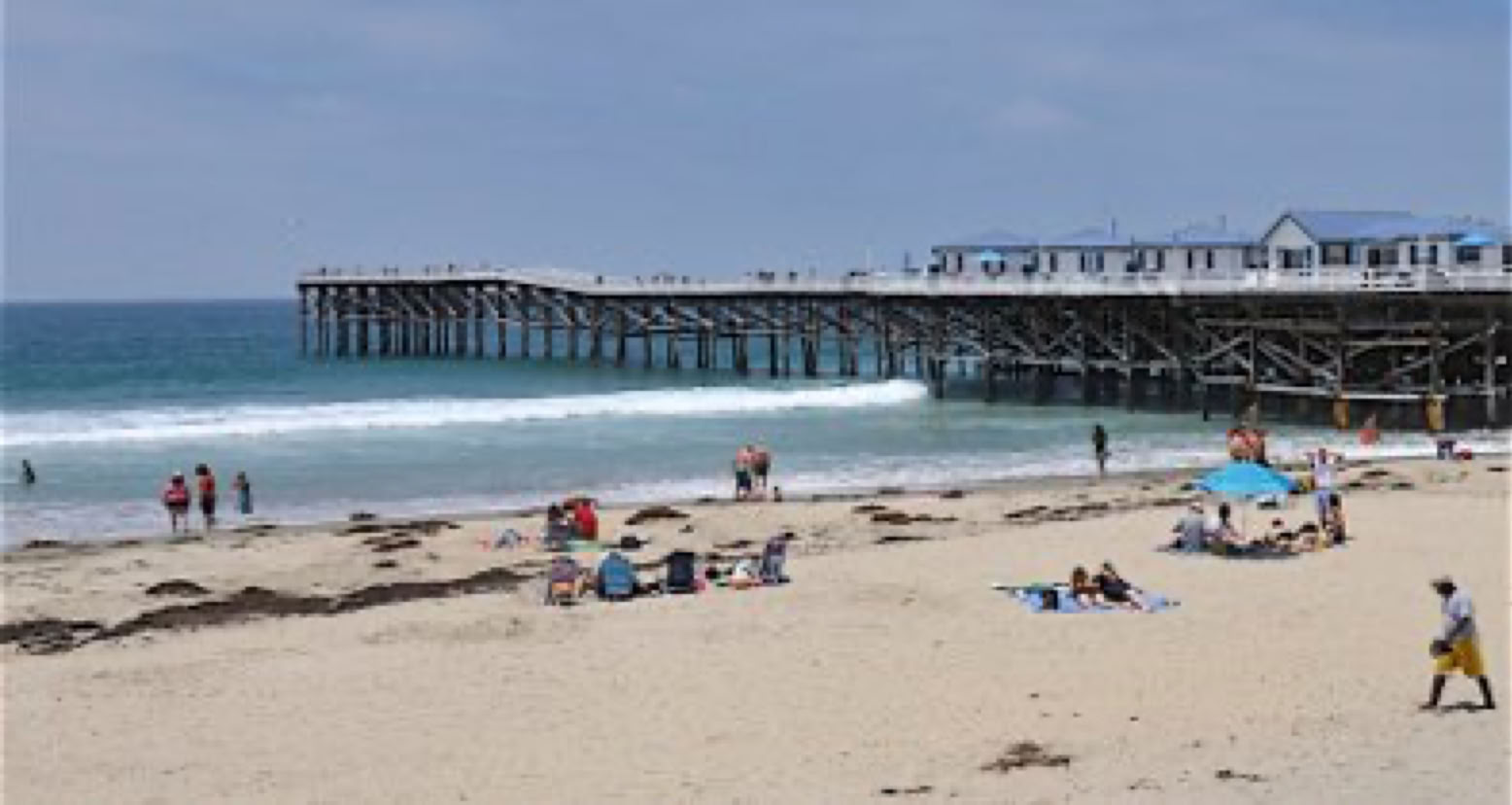 Richard Lehmann Photography copyrighted Image 