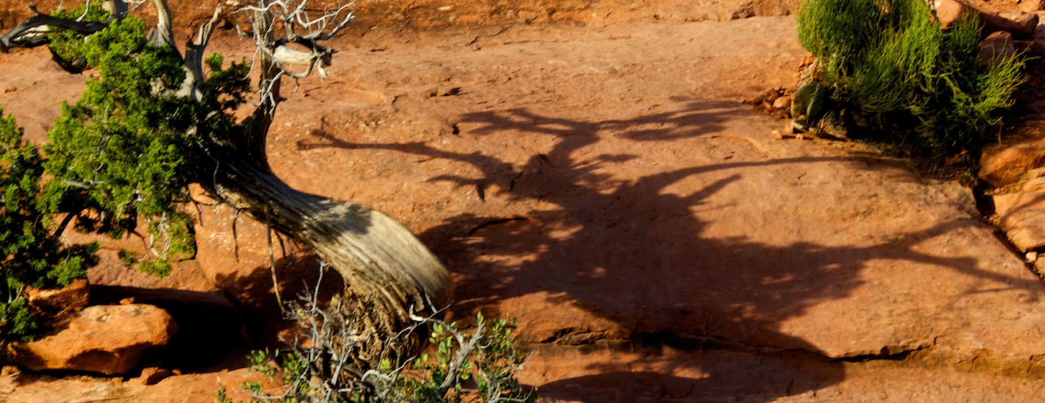 Richard Lehmann Photography copyrighted Image Sedona