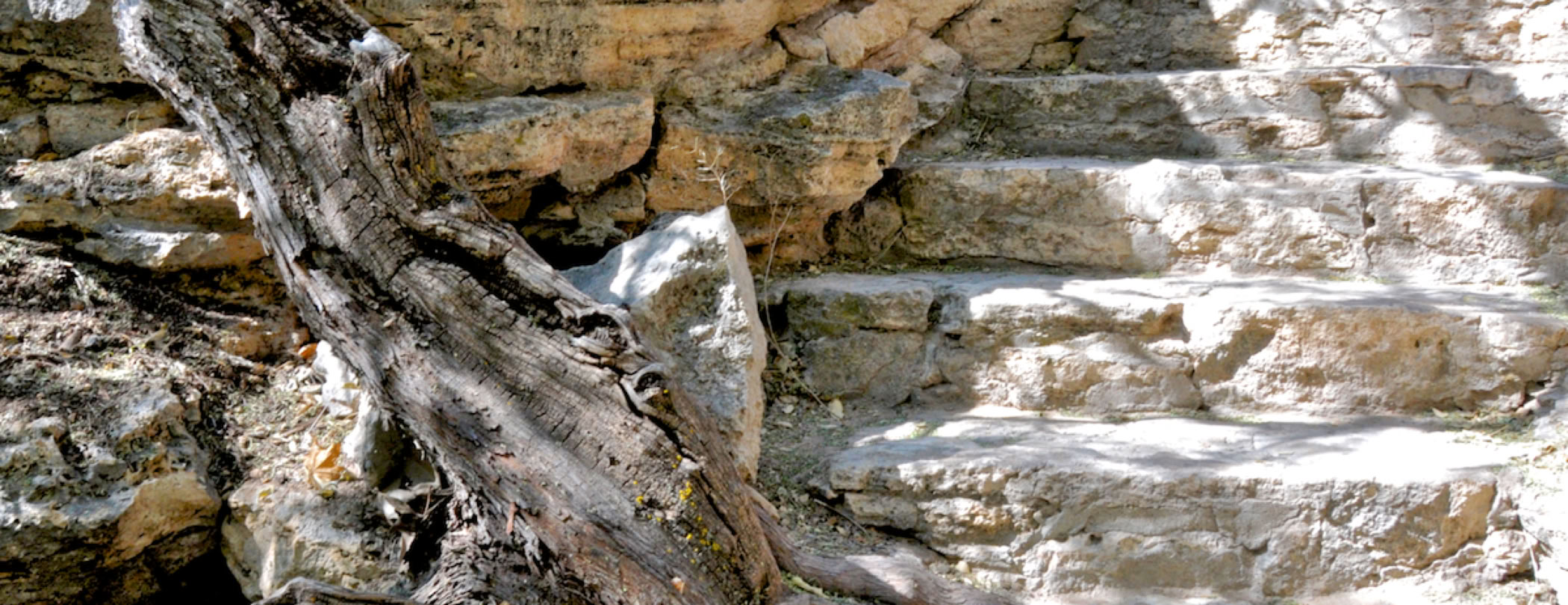 Richard Lehmann Photography copyrighted Image