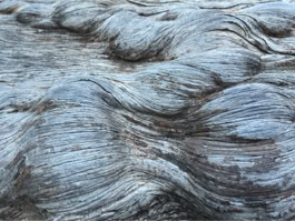 Richard Lehmnann Photo 02