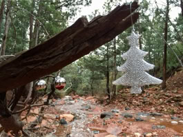 Richard Lehmnann Photo 03